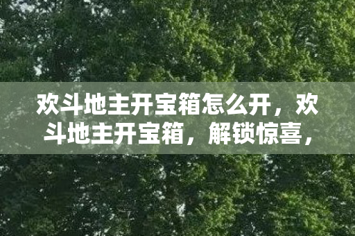 欢斗地主开宝箱怎么开，欢斗地主开宝箱，解锁惊喜，畅享无限可能！