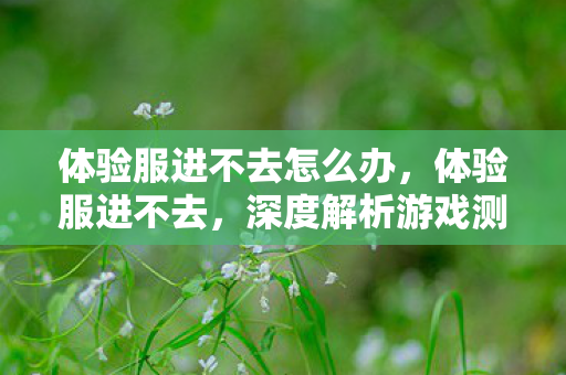 体验服进不去怎么办，体验服进不去，深度解析游戏测试服常见问题与解决方案