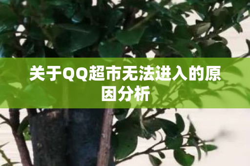 关于QQ超市无法进入的原因分析
