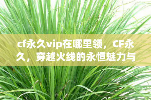 cf永久vip在哪里领，CF永久，穿越火线的永恒魅力与玩家情怀