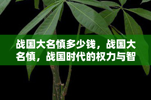 战国大名慎多少钱，战国大名慎，战国时代的权力与智慧