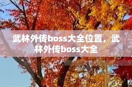 武林外传boss大全位置，武林外传boss大全