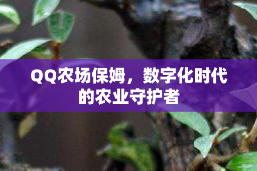 QQ农场保姆，数字化时代的农业守护者