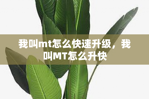 我叫mt怎么快速升级，我叫MT怎么升快