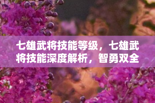 七雄武将技能等级，七雄武将技能深度解析，智勇双全，策略致胜