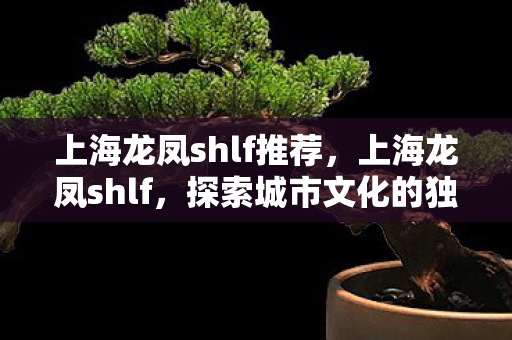 上海龙凤shlf推荐，上海龙凤shlf，探索城市文化的独特魅力