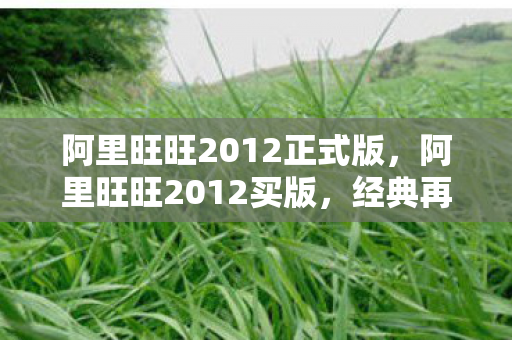 阿里旺旺2012正式版，阿里旺旺2012买版，经典再现，高效沟通新体验