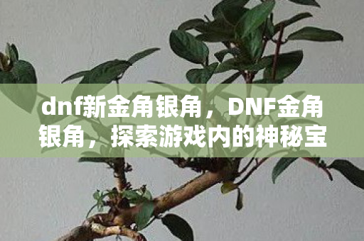 dnf新金角银角，DNF金角银角，探索游戏内的神秘宝藏与独特挑战