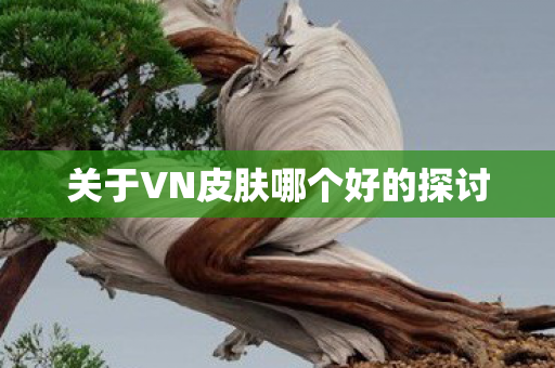 关于VN皮肤哪个好的探讨
