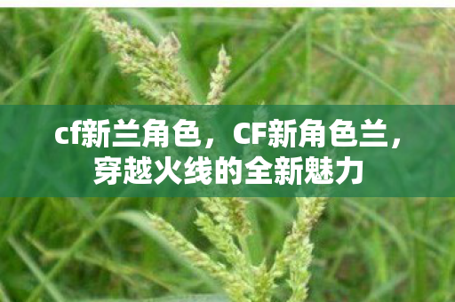 cf新兰角色，CF新角色兰，穿越火线的全新魅力