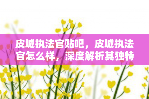 皮城执法官贴吧，皮城执法官怎么样，深度解析其独特魅力与玩法