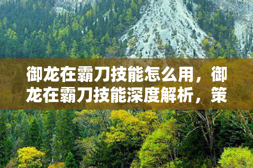 御龙在霸刀技能怎么用，御龙在霸刀技能深度解析，策略与操作的完美结合