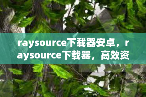 raysource下载器安卓，raysource下载器，高效资源获取的新选择