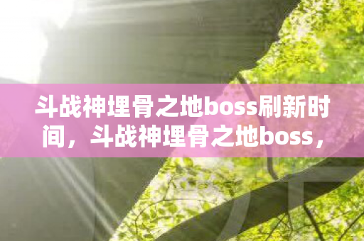 斗战神埋骨之地boss刷新时间，斗战神埋骨之地boss，挑战与攻略