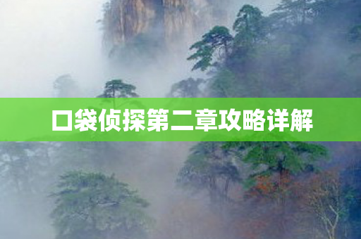 口袋侦探第二章攻略详解