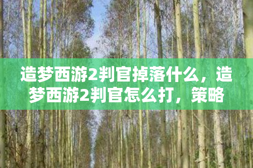 造梦西游2判官掉落什么，造梦西游2判官怎么打，策略与技巧详解