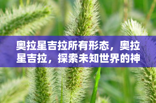 奥拉星吉拉所有形态，奥拉星吉拉，探索未知世界的神秘力量