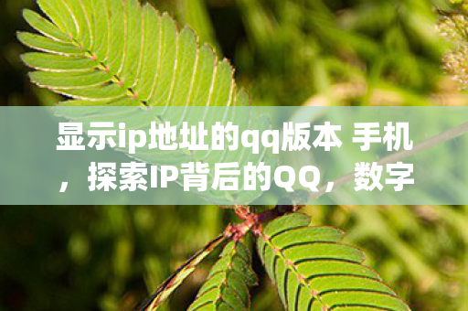 显示ip地址的qq版本 手机，探索IP背后的QQ，数字时代的隐秘联系