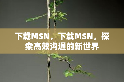 下载MSN，下载MSN，探索高效沟通的新世界