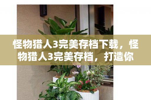 怪物猎人3完美存档下载，怪物猎人3完美存档，打造你的终极狩猎之旅