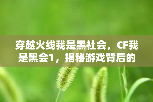 穿越火线我是黑社会，CF我是黑会1，揭秘游戏背后的神秘力量