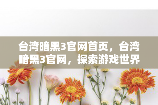 台湾暗黑3官网首页，台湾暗黑3官网，探索游戏世界的奇幻之旅