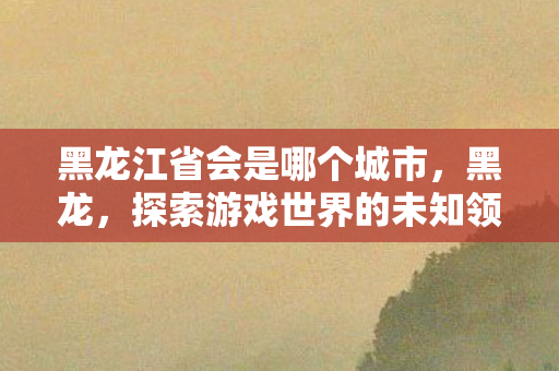 黑龙江省会是哪个城市，黑龙，探索游戏世界的未知领域