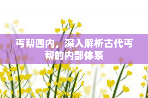 丐帮四内，深入解析古代丐帮的内部体系