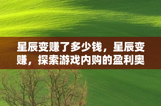 星辰变赚了多少钱，星辰变赚，探索游戏内购的盈利奥秘