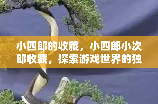 小四郎的收藏，小四郎小次郎收藏，探索游戏世界的独特魅力