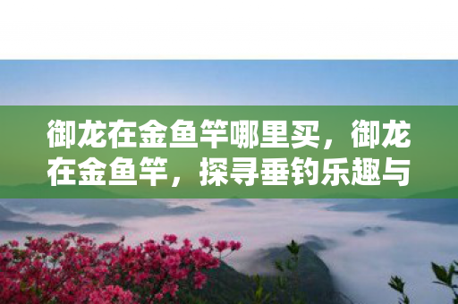 御龙在金鱼竿哪里买，御龙在金鱼竿，探寻垂钓乐趣与技艺的完美结合