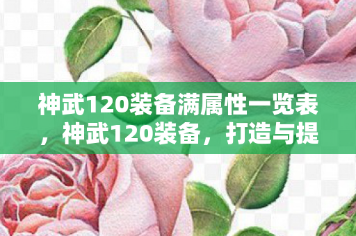 神武120装备满属性一览表，神武120装备，打造与提升的全方位指南