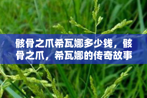 骸骨之爪希瓦娜多少钱，骸骨之爪，希瓦娜的传奇故事