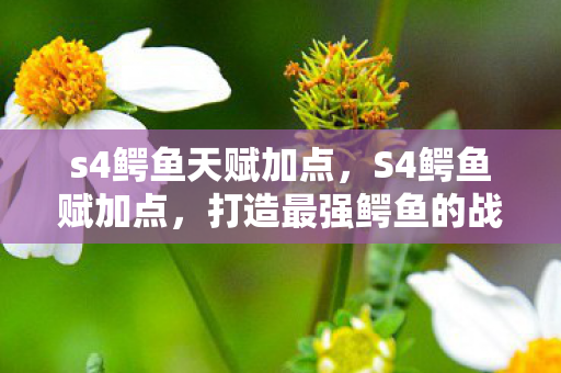 s4鳄鱼天赋加点，S4鳄鱼赋加点，打造最强鳄鱼的战斗策略