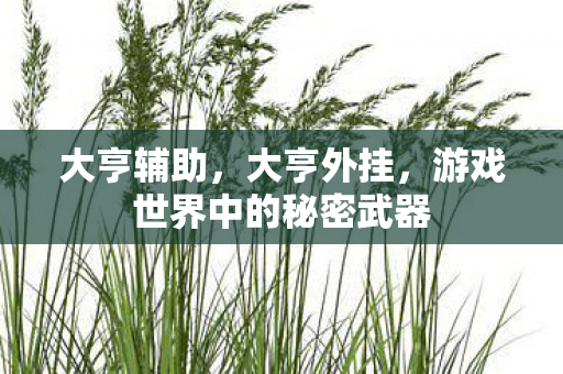 大亨辅助，大亨外挂，游戏世界中的秘密武器