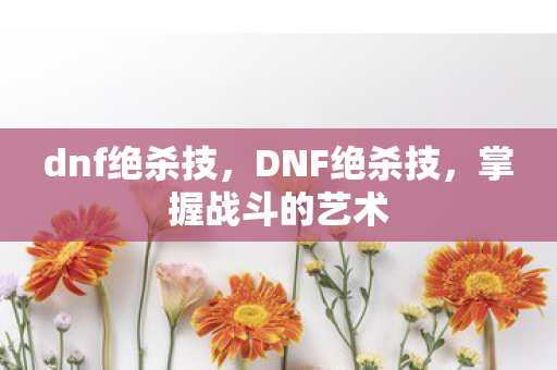 dnf绝杀技，DNF绝杀技，掌握战斗的艺术