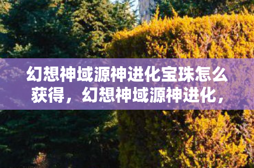 幻想神域源神进化宝珠怎么获得，幻想神域源神进化，探索无限可能的奇幻之旅