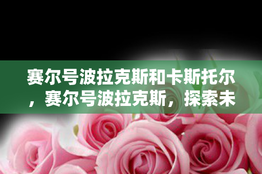 赛尔号波拉克斯和卡斯托尔，赛尔号波拉克斯，探索未知宇宙，挑战无限可能