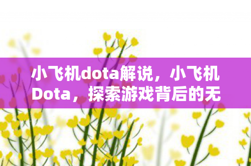 小飞机dota解说，小飞机Dota，探索游戏背后的无限可能