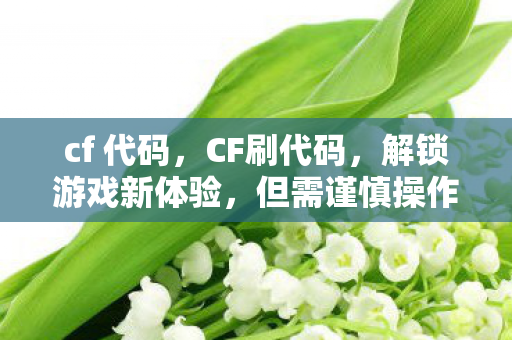 cf 代码，CF刷代码，解锁游戏新体验，但需谨慎操作