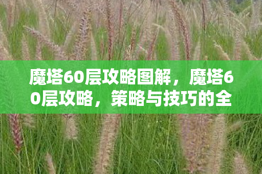 魔塔60层攻略图解，魔塔60层攻略，策略与技巧的全面解析