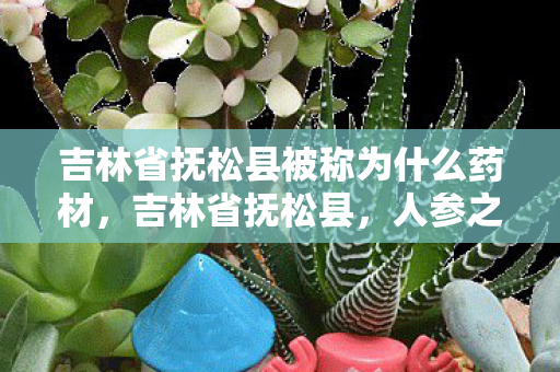 吉林省抚松县被称为什么药材，吉林省抚松县，人参之乡的传奇故事