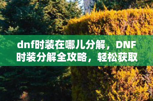 dnf时装在哪儿分解，DNF时装分解全攻略，轻松获取珍贵材料