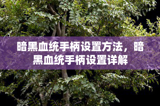 暗黑血统手柄设置方法，暗黑血统手柄设置详解