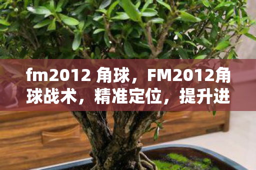 fm2012 角球，FM2012角球战术，精准定位，提升进攻效率