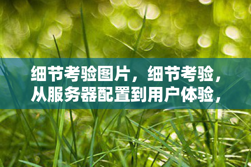 细节考验图片，细节考验，从服务器配置到用户体验，揭秘游戏服务器的隐形差异