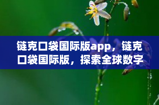 链克口袋国际版app，链克口袋国际版，探索全球数字资产的新篇章