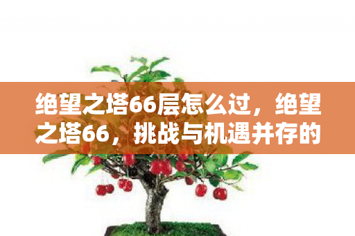 绝望之塔66层怎么过，绝望之塔66，挑战与机遇并存的未知领域