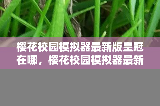 樱花校园模拟器最新版皇冠在哪，樱花校园模拟器最新版皇冠，解锁无限可能的校园冒险