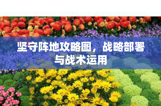 坚守阵地攻略图，战略部署与战术运用